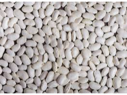 Porotos pallares
