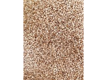 Semilla de quinoa boliviana premium