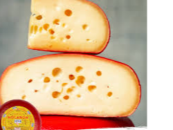 Holanda Lucrecia