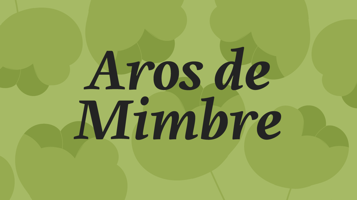 Aros de Mimbre