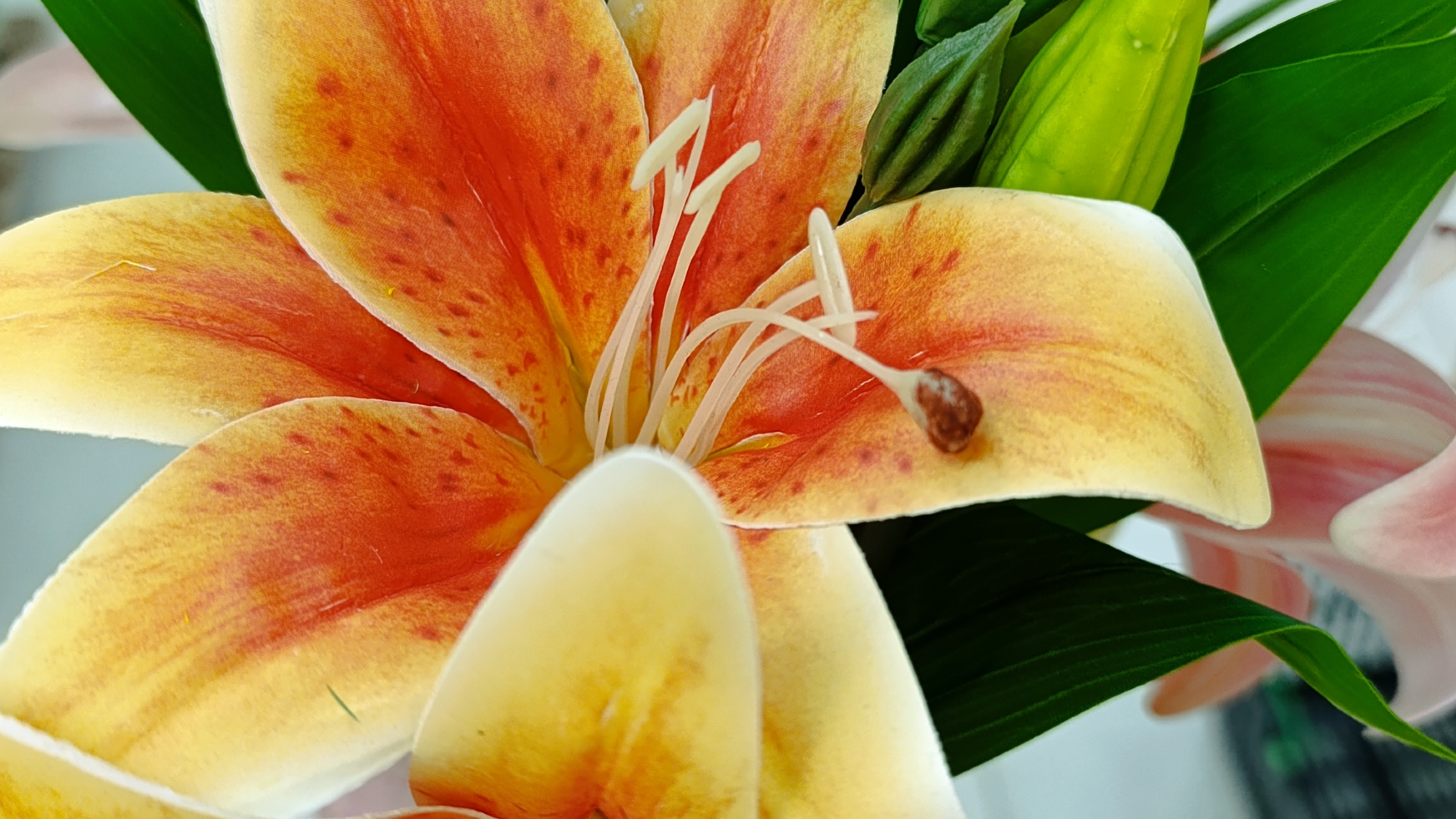 Flores Plastico