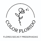Logo de Color Florido Comercio