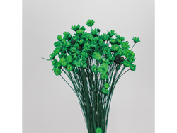 Diamantinas hasta 50 paquetes