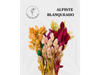 Alpiste Blanqueado