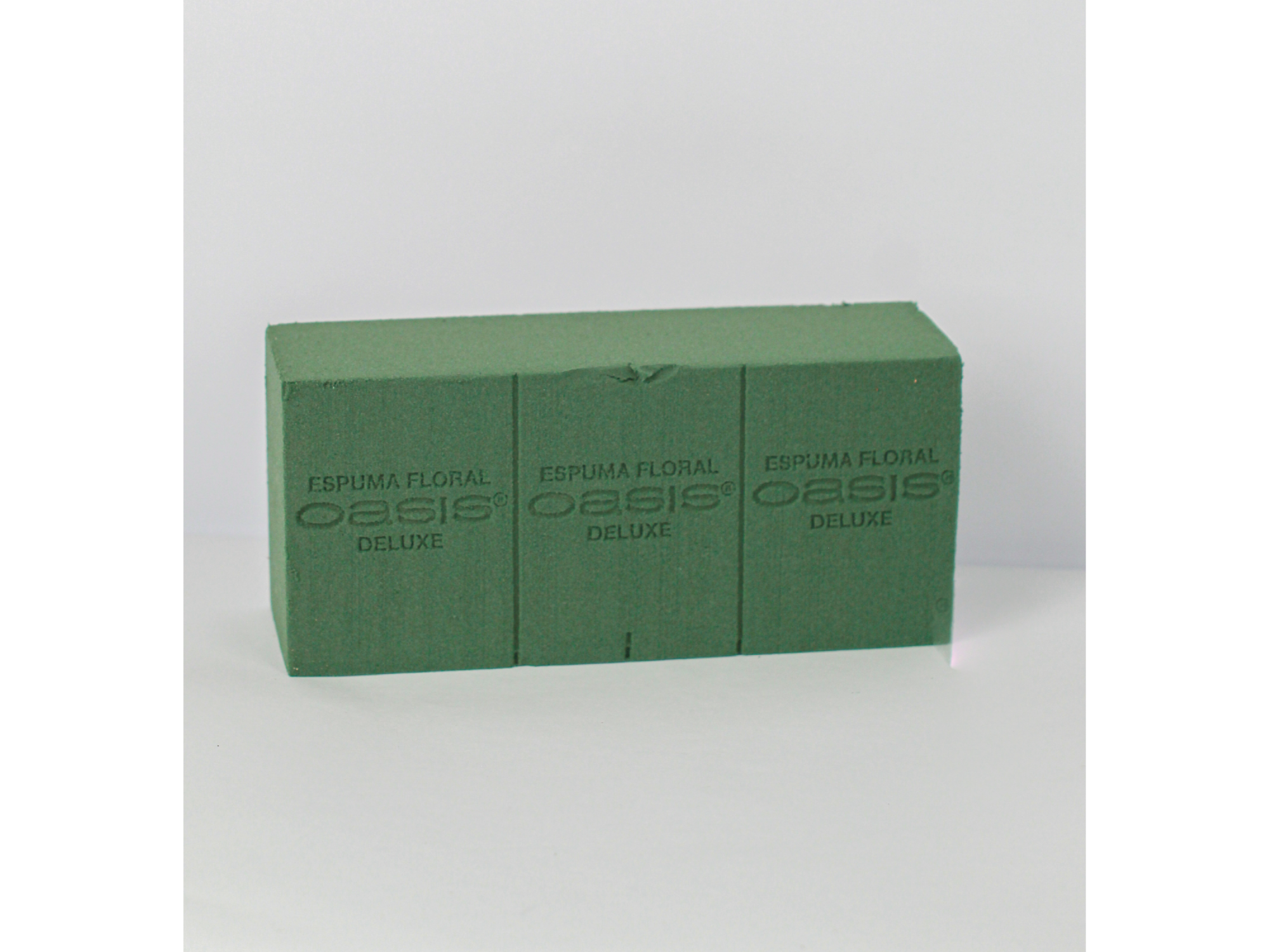 Esponja floral Oasis (Caja x 48)