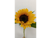 Girasoles