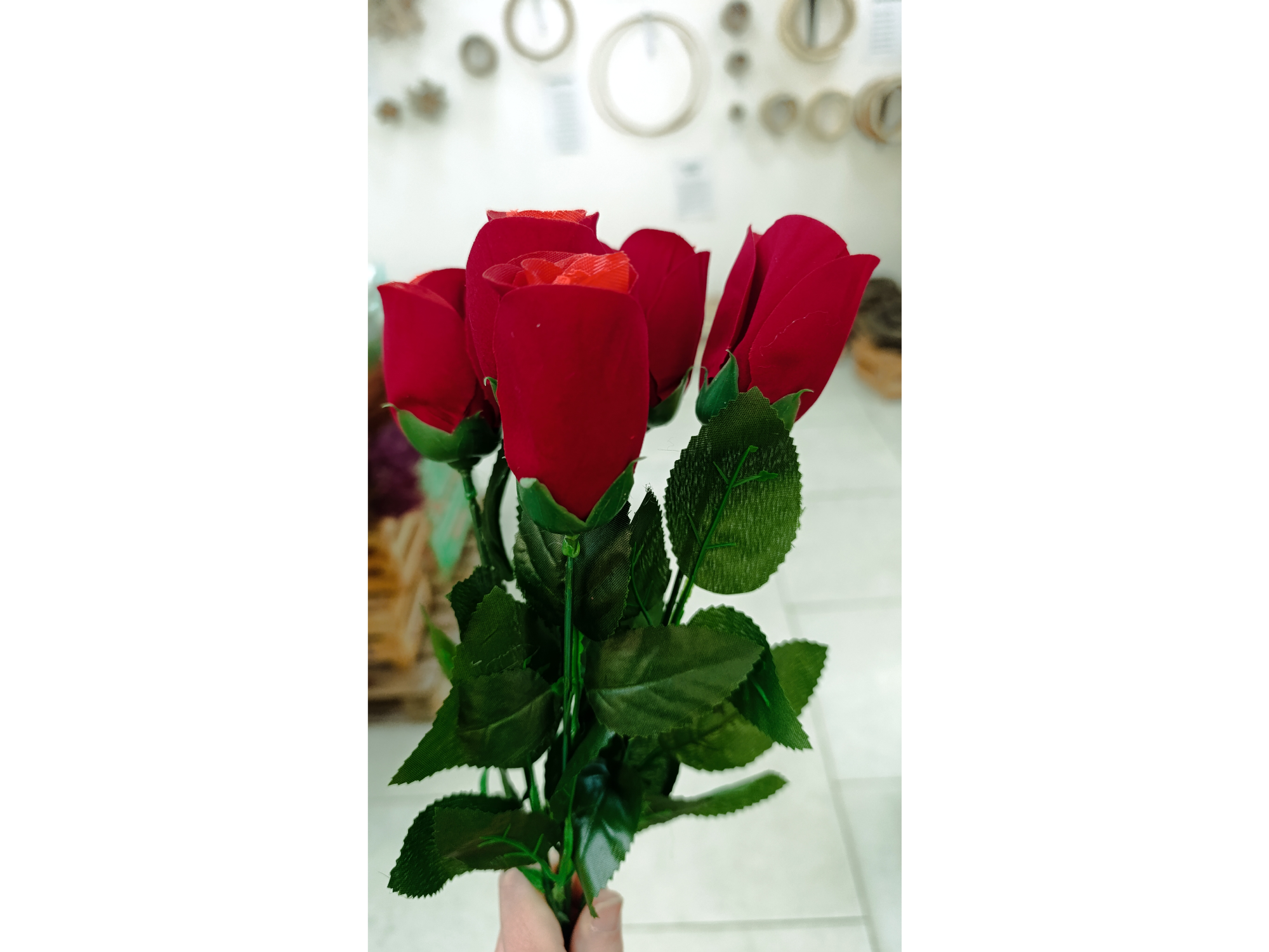 Rosa Individual Chica