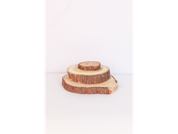 Rodaja de madera nro 6- 20CM