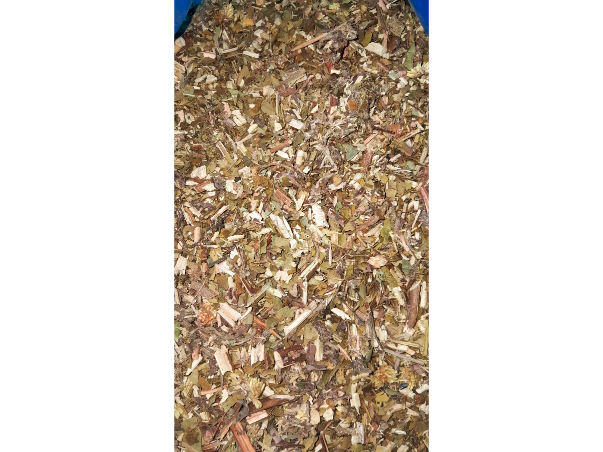 🌿 Hojas de Palta, Marcela y Té Verde