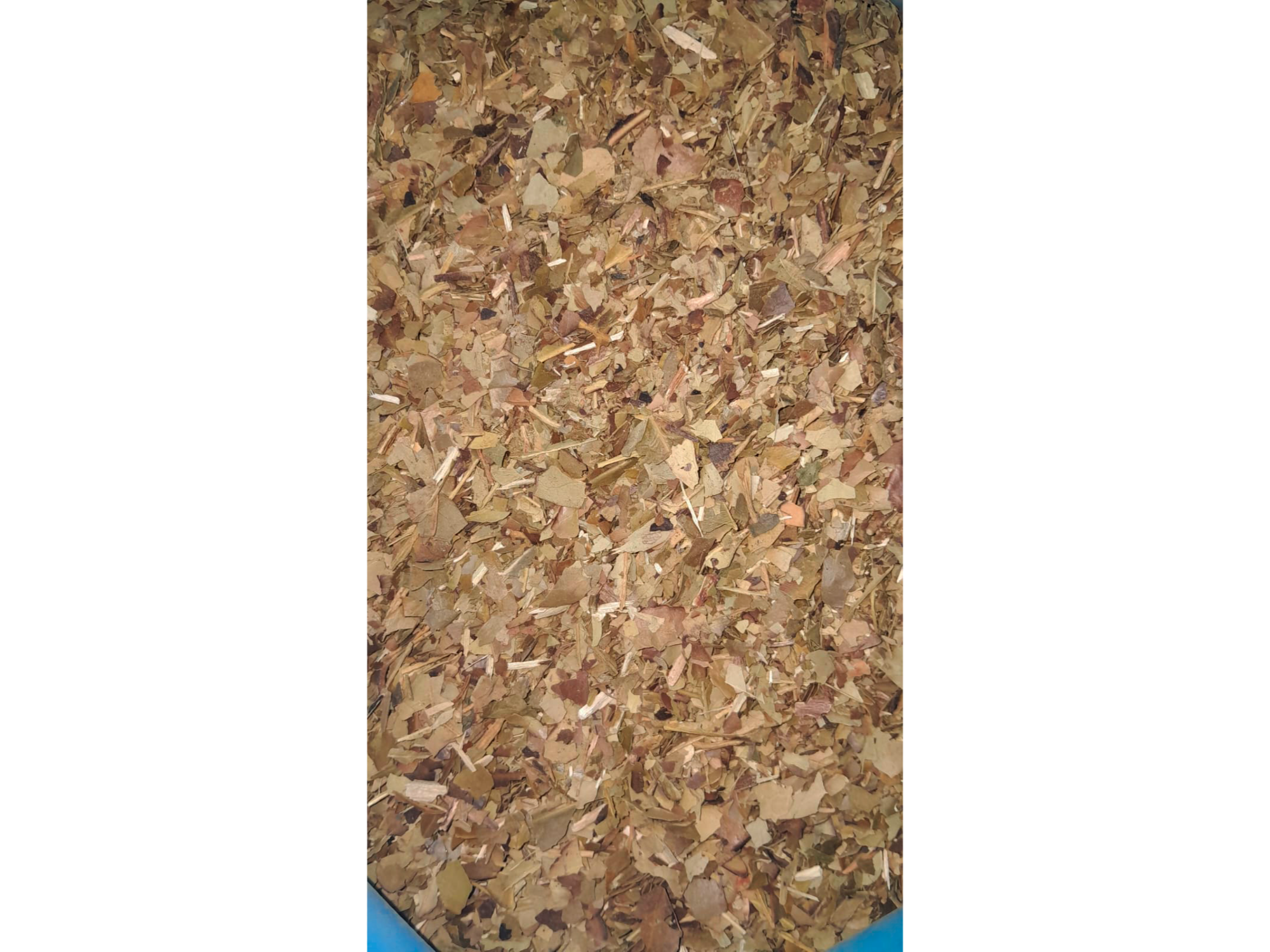 🔮 Kalena Despalada