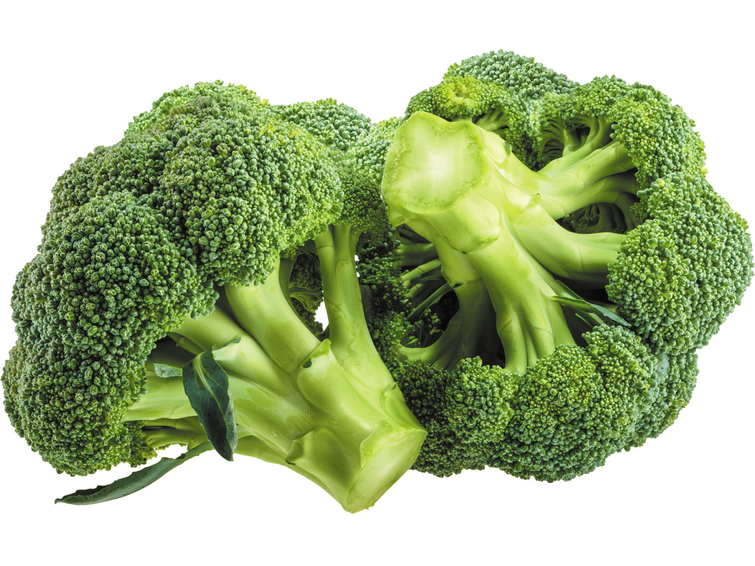 brocoli