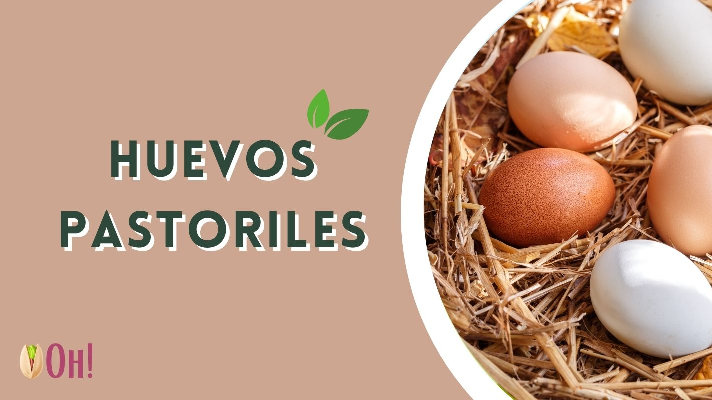 HUEVOS PASTORILES