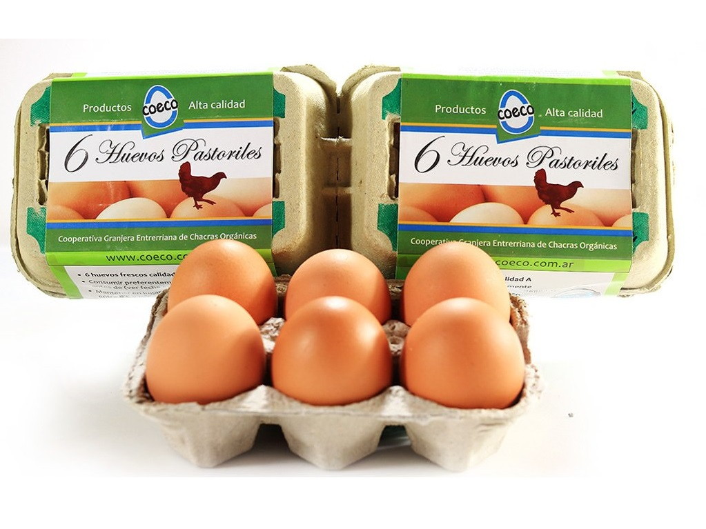 Huevos Pastoriles "Coeco" Estuche - 6 Huevos
