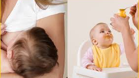 ALIMENTACIÓN Y LACTANCIA