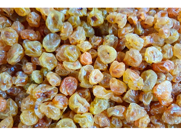 Pasas de uvas rubias (sin semilla)