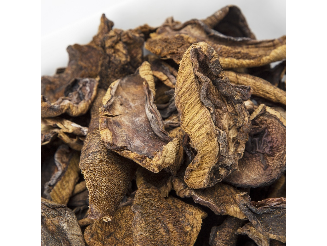 Hongos de pino