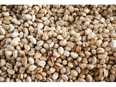 Pistacho con cáscara