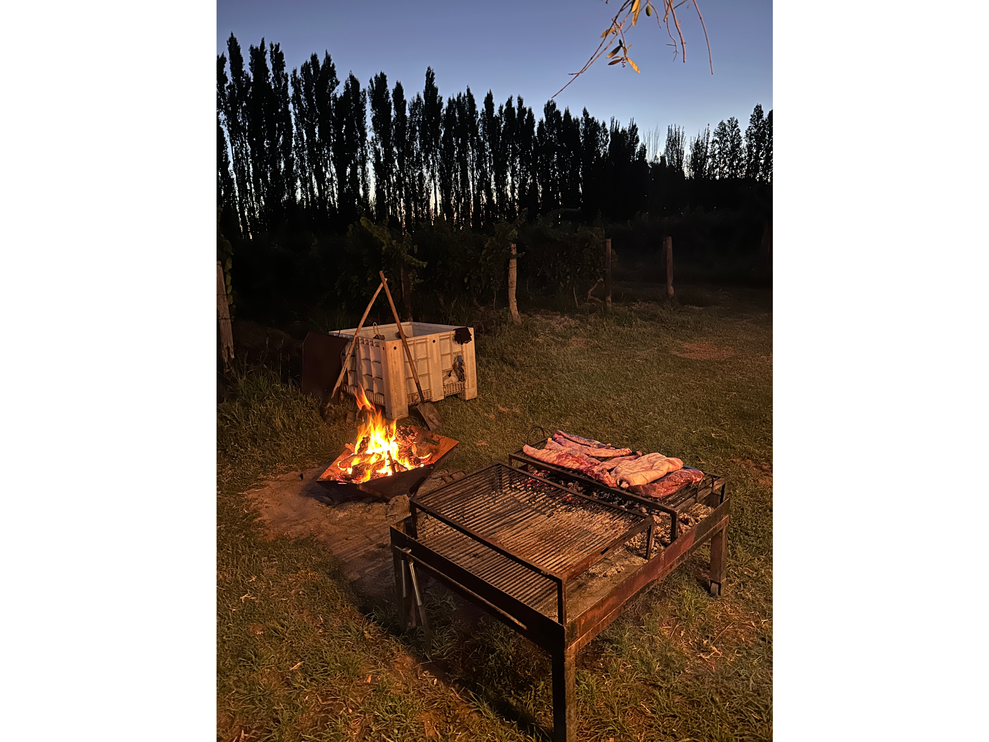 Degustación + Comida 07/02