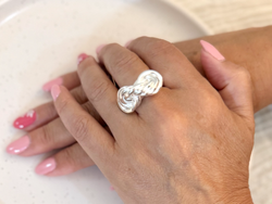 Anillo Evolucion