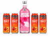 ABSOLUT + 4 ENERGIZANTE BALY 473cc