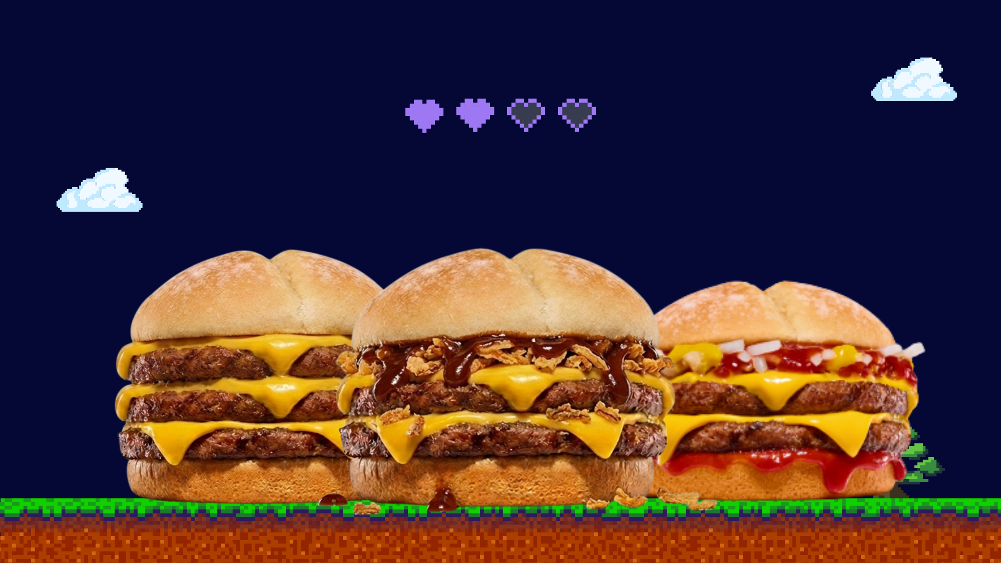 HAMBURGUESAS ECO
