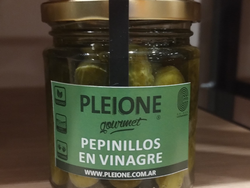 Pepinillos en vinagre