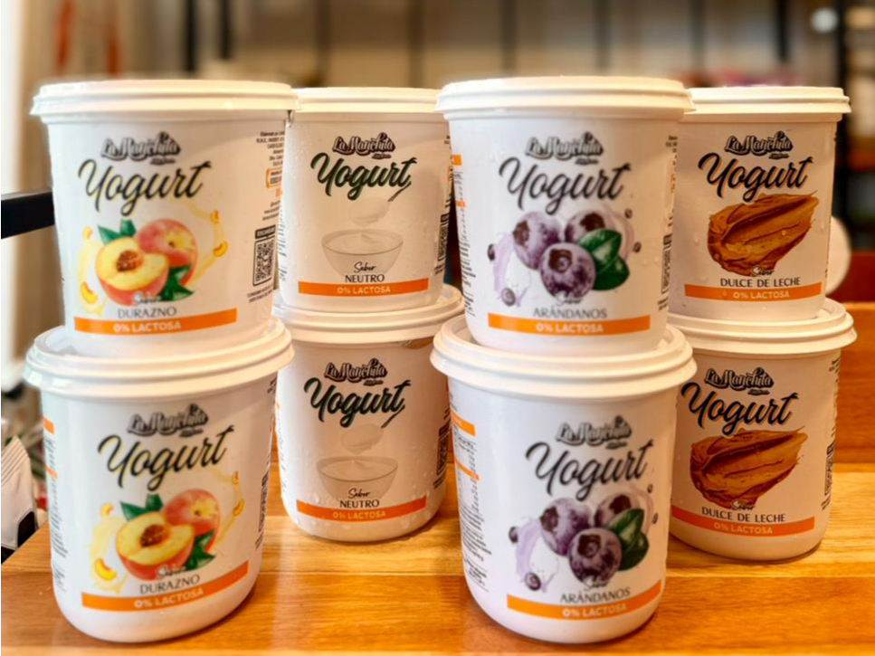 YOGURT DESLACTOSADO "La manchita"