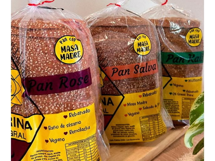 PANETON 100% INTEGRAL  (VEGANO)