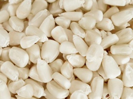 MAIZ BLANCO