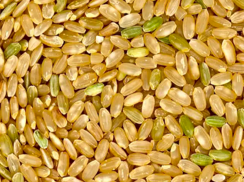 ARROZ YAMANI