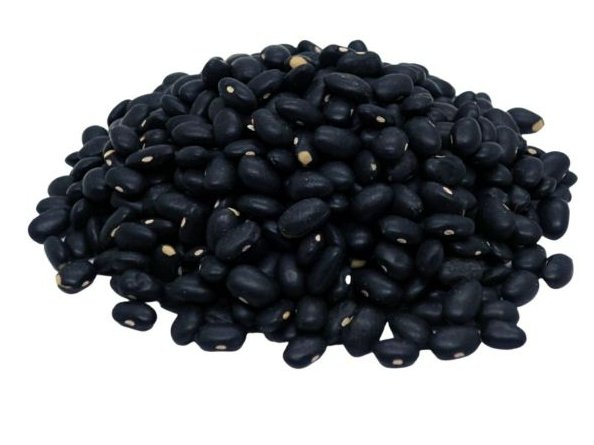 POROTO NEGRO