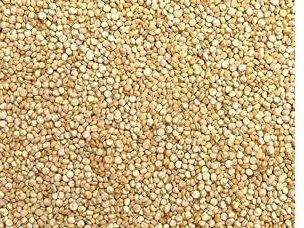 QUINOA