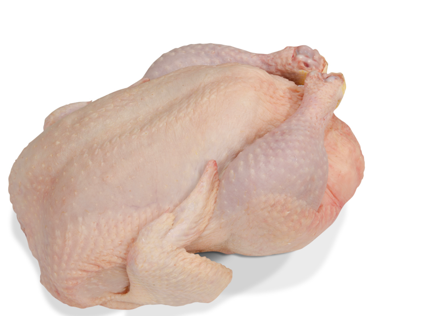 CAJÓN DE POLLO 20KG