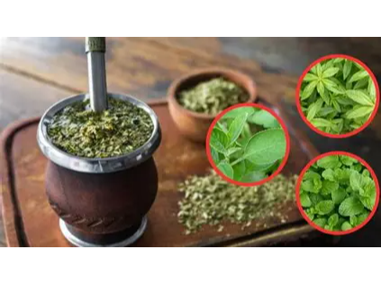 Mix Matero 7 Yuyos bolsita x 50g