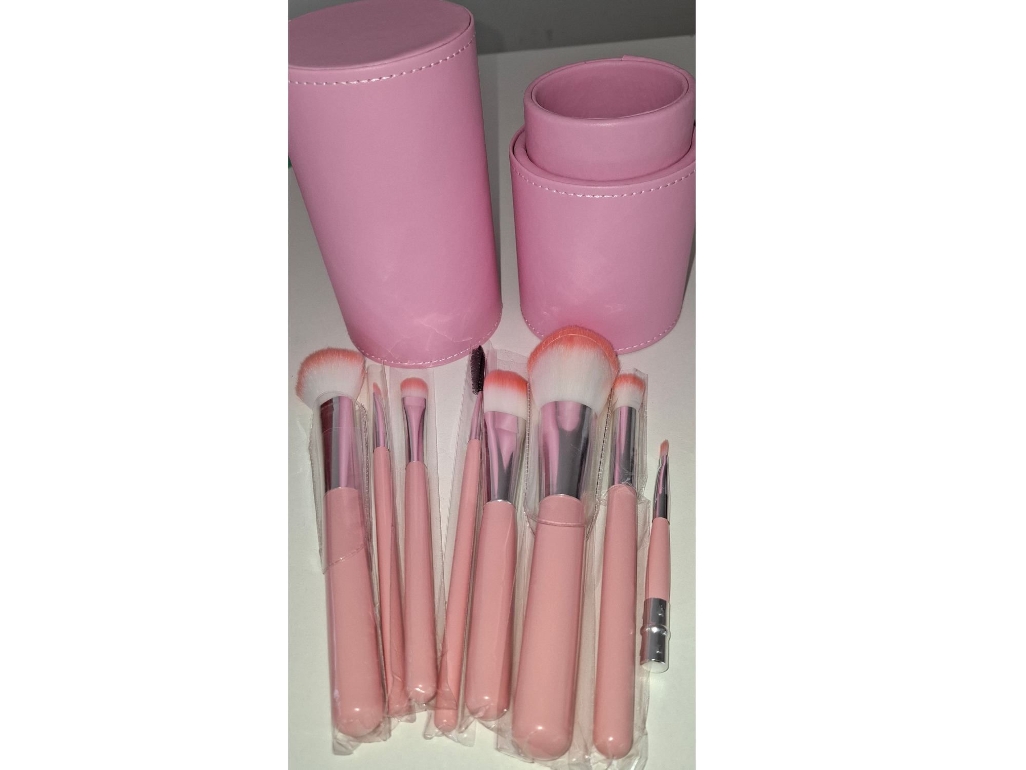 Brochas profesionales con estuche.