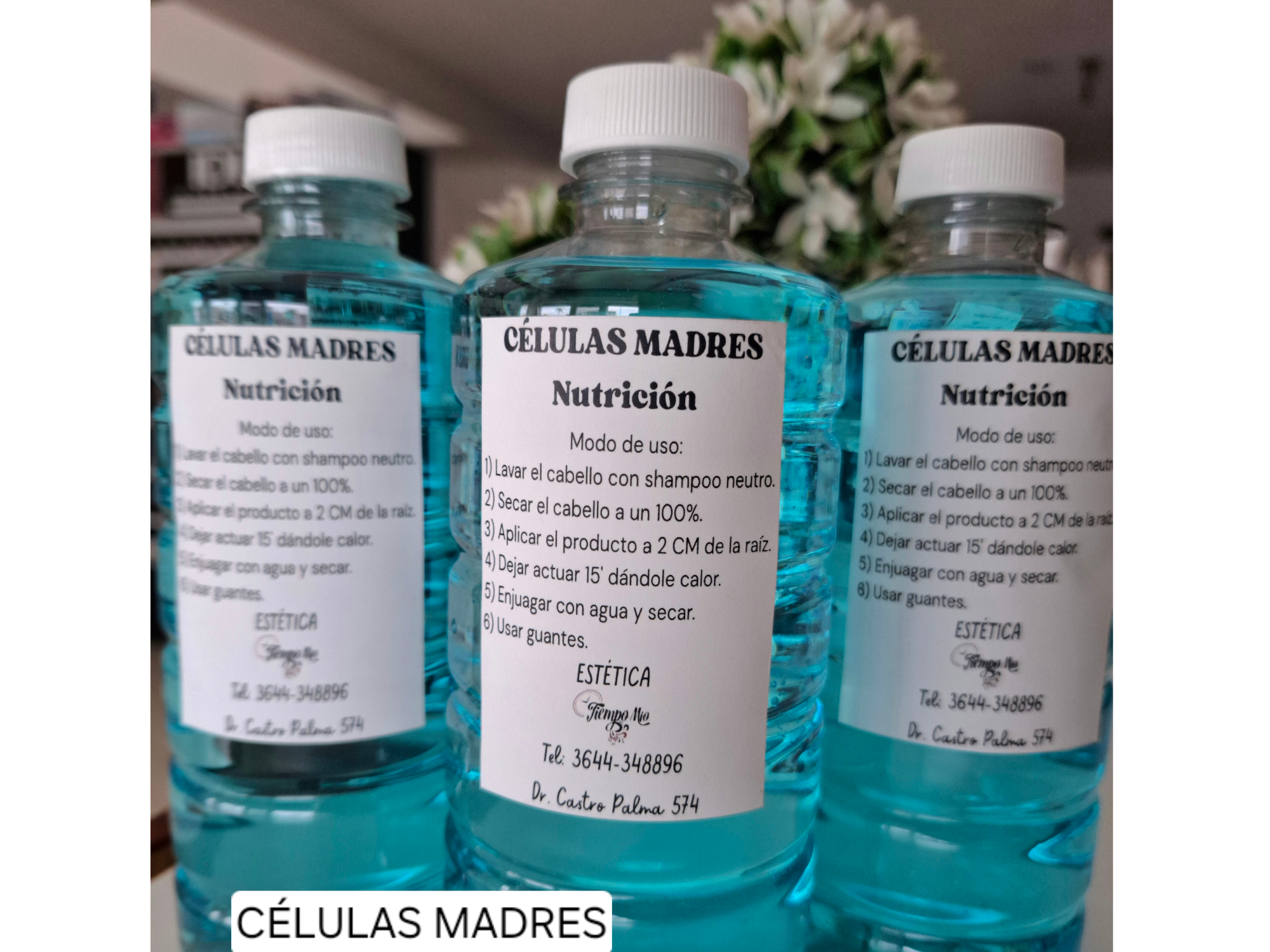Células madres 500g 🩵
