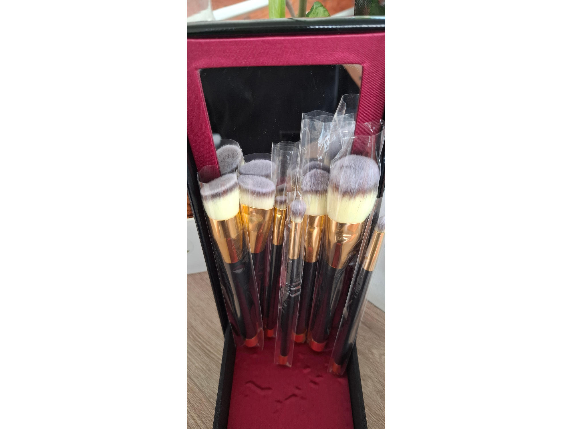 Brochas profesionales con estuche.