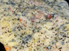 Mozarella y roquefort