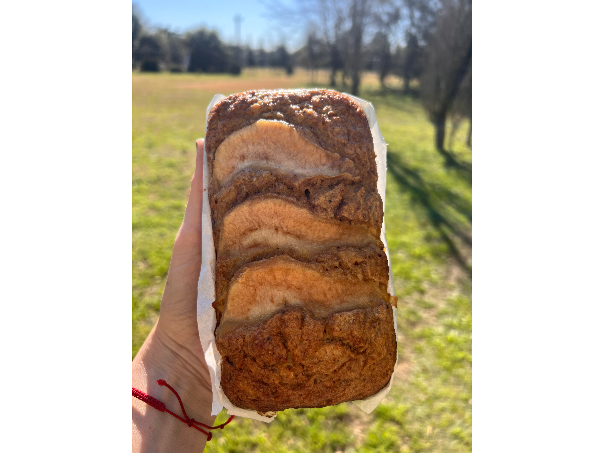 BUDÍN PERA Y LIMÓN (sin azúcar - sin tacc)