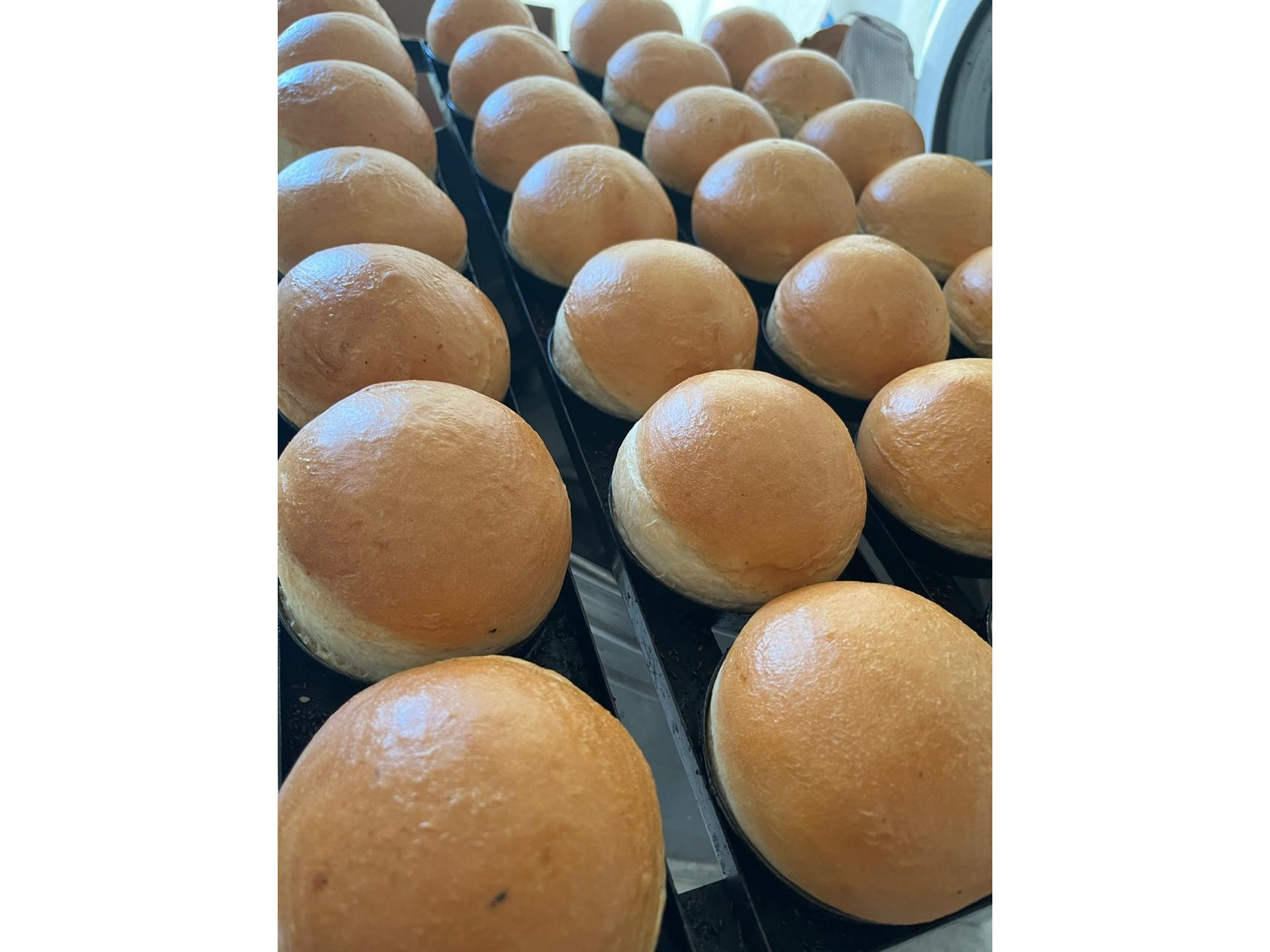 Pan de hamburguesa 10cm