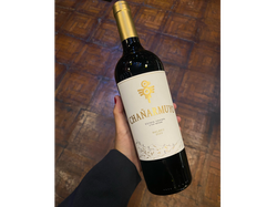 Chañarmuyo malbec