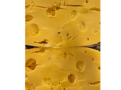 Fontina