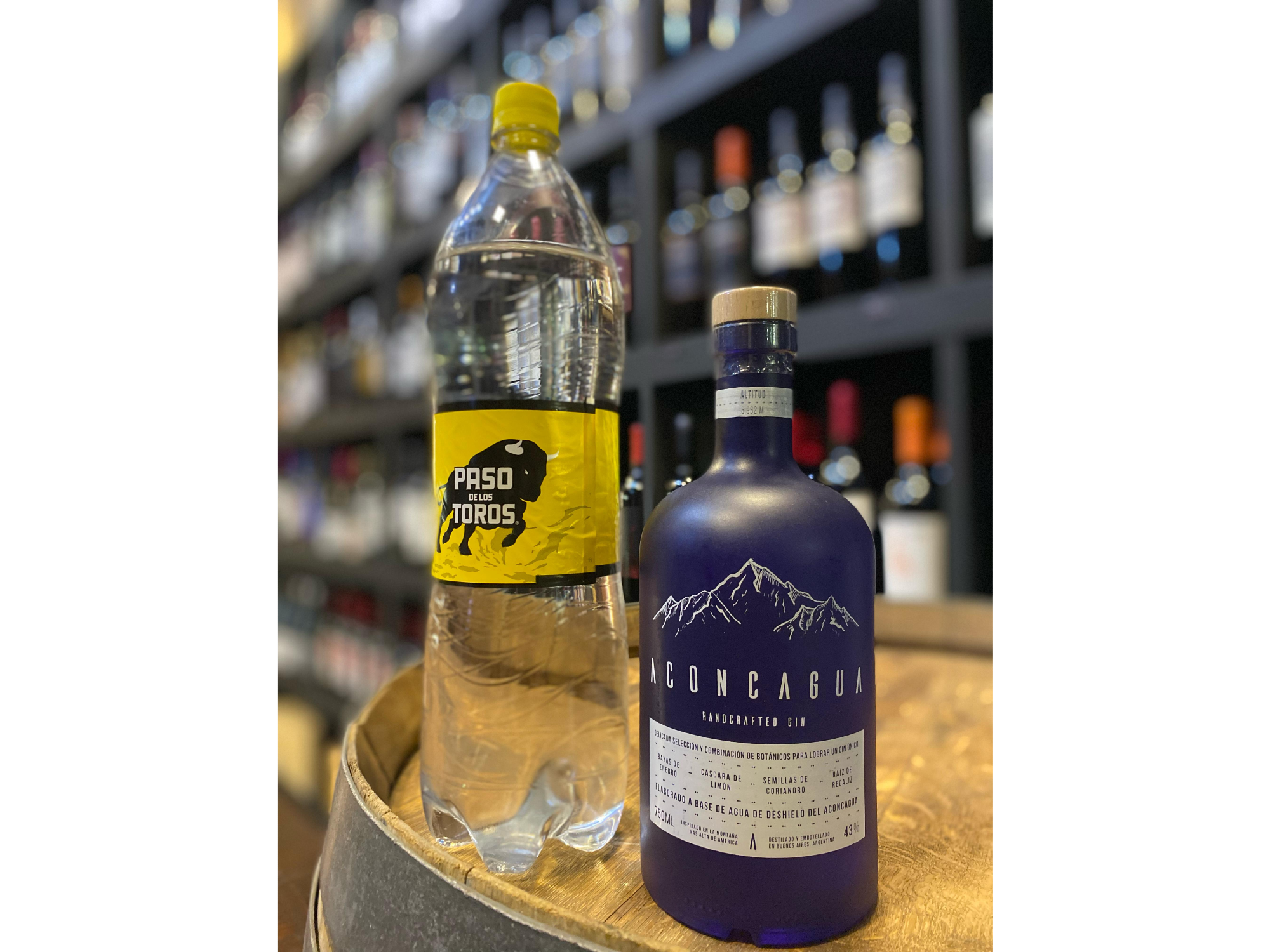 Gin Aconcagua & Tónica
