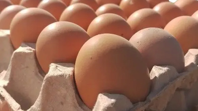 HUEVOS