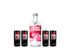 Absolut saborizado + 4 Speed 250ml