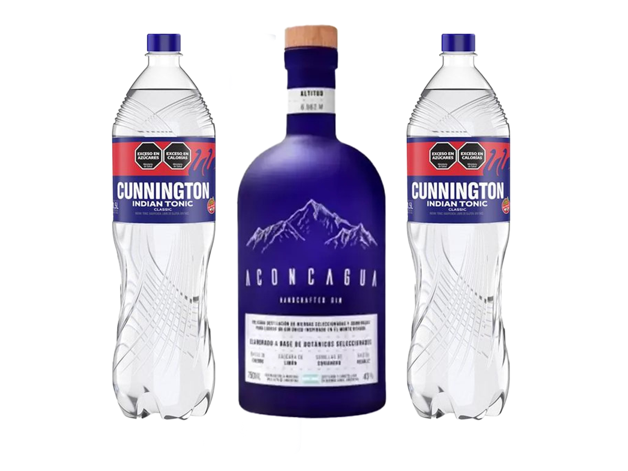Gin Aconcagua + 2 Aguas tónicas 1.5lt