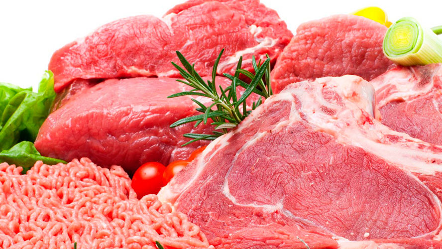CARNES