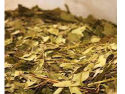 Yerba - Ajedrez canchada