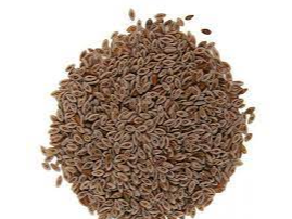 Psyllium