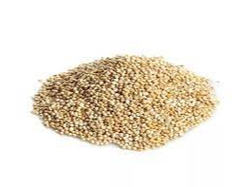 Quinoa blanca nacional